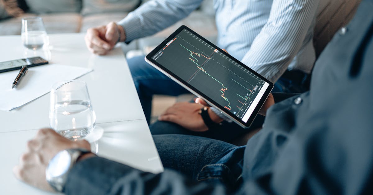 渭南宠物购买平台