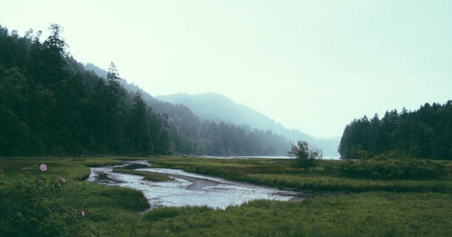 “为什么游戏开发者一定要宣誓打击技术支持?”。