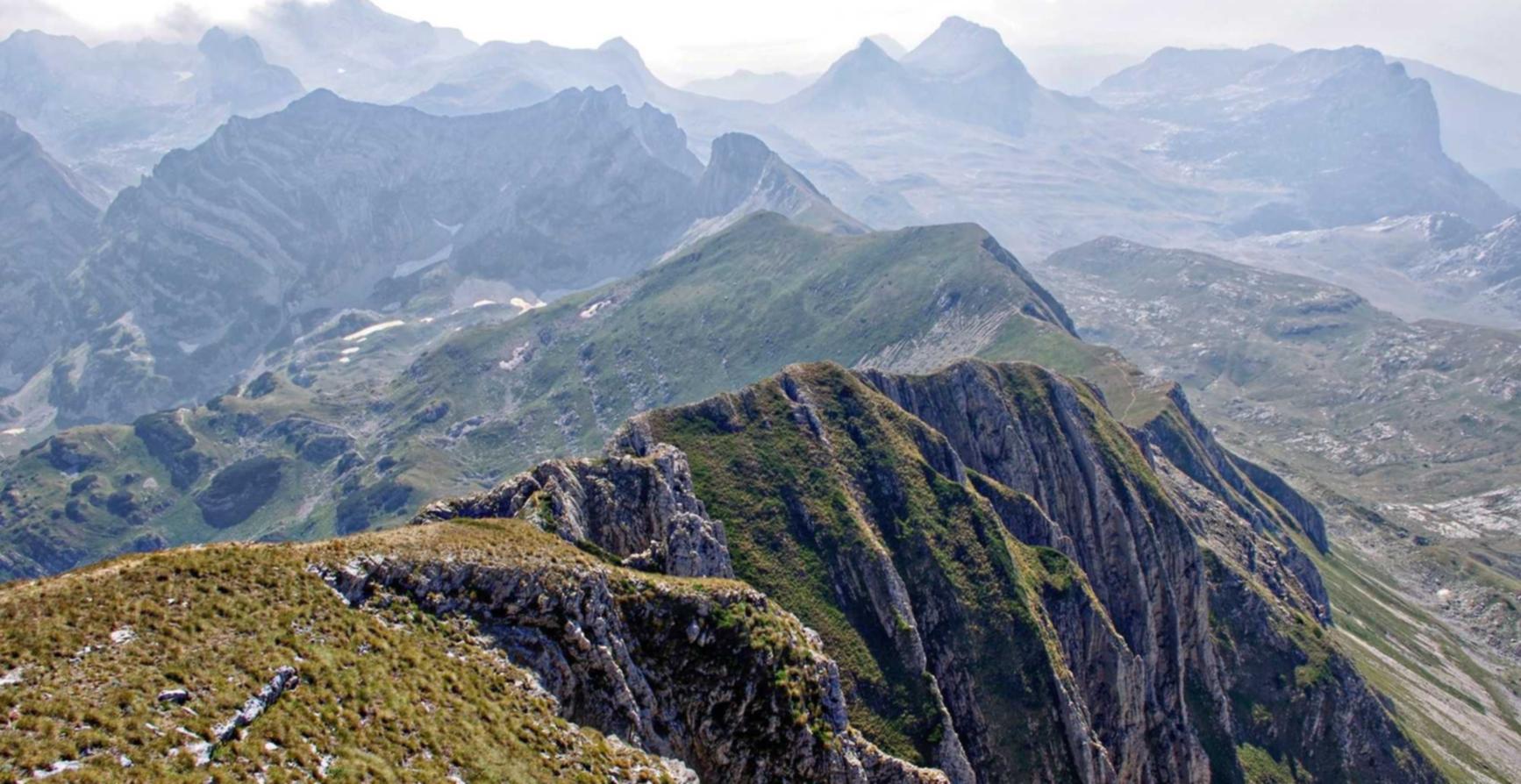 欧盟蓝登喜路：和平精英神盾科技购买平台