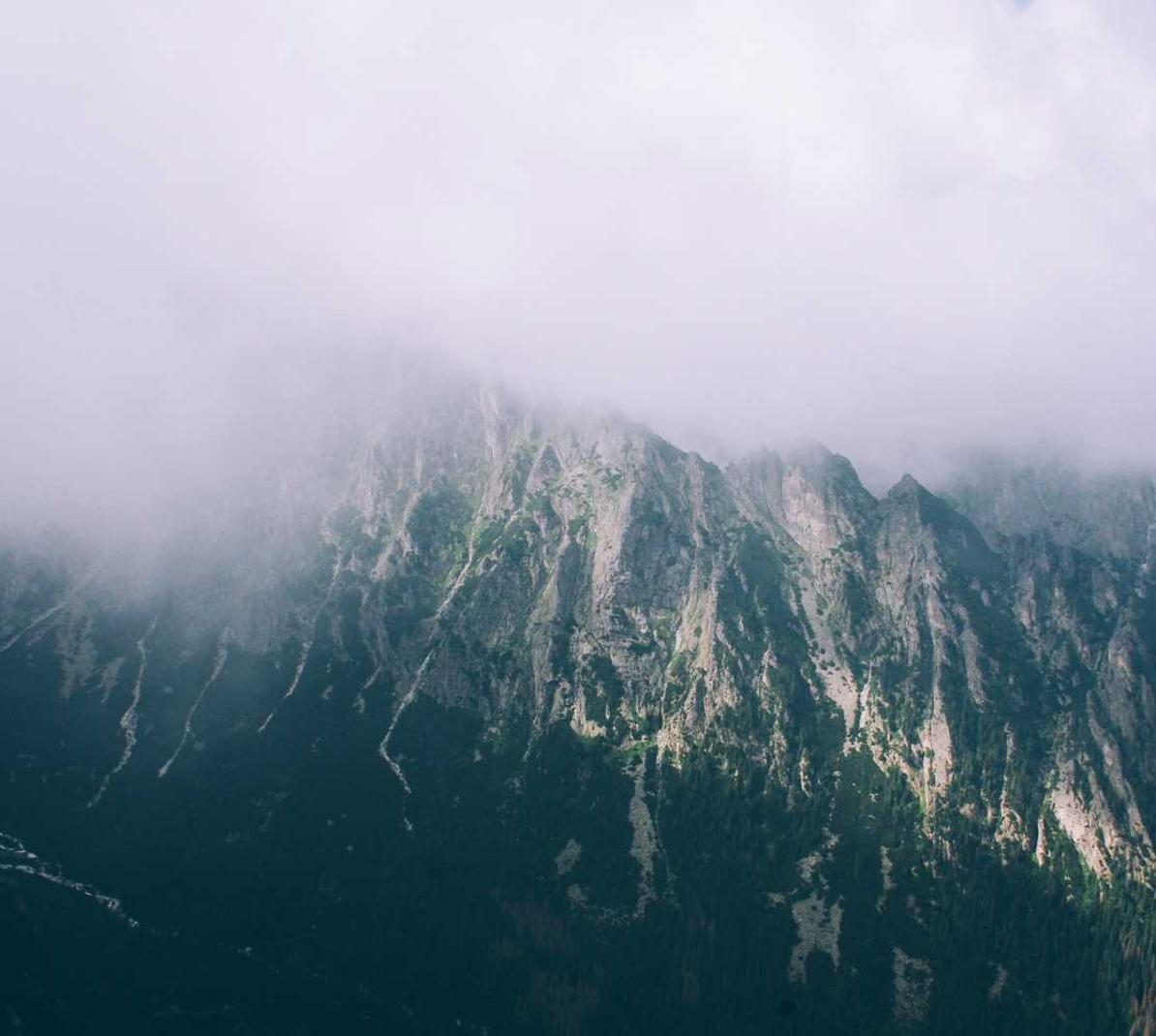 如何在SEO上使用完美主义