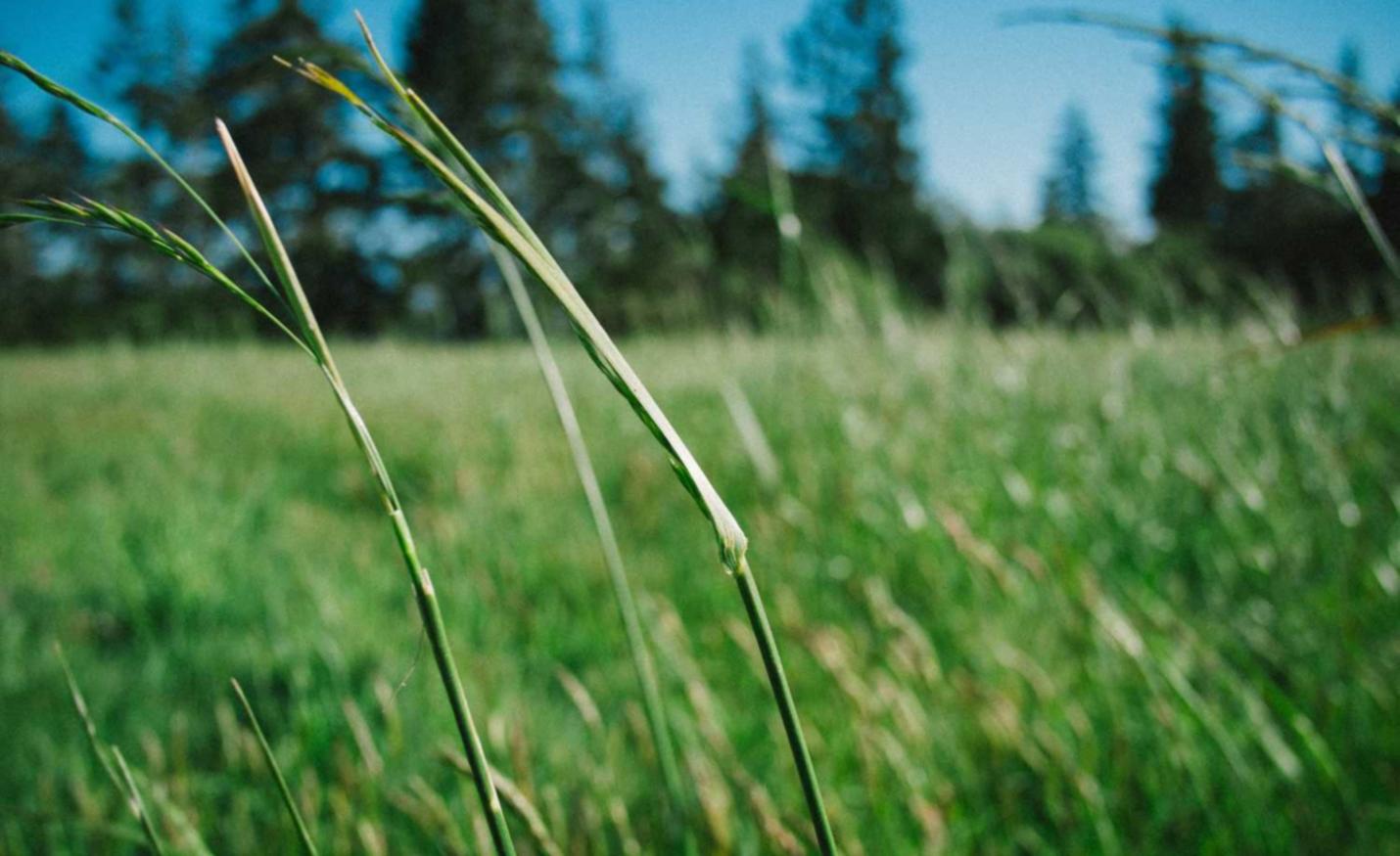 国外微信买卖:临海注册代理记账收费