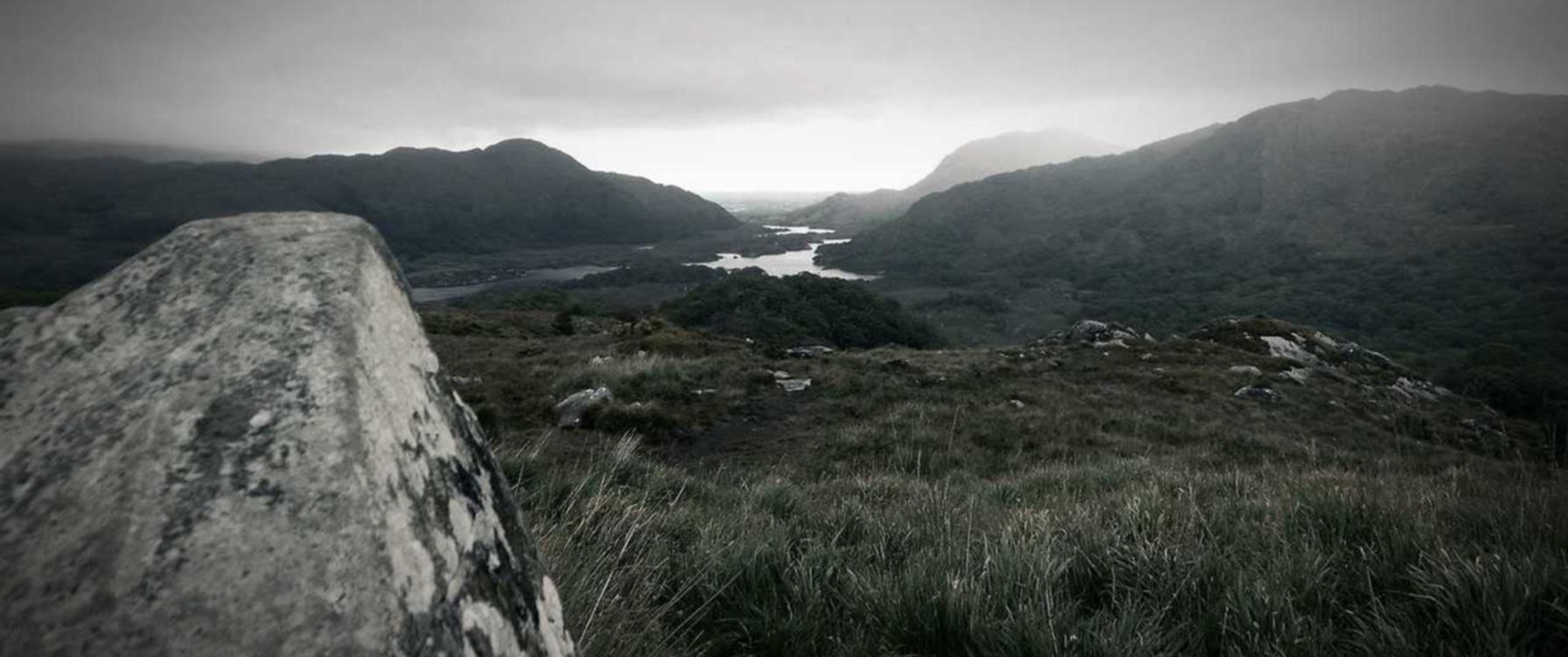 平安通信实名账号:怎么购买投资理财软件账号