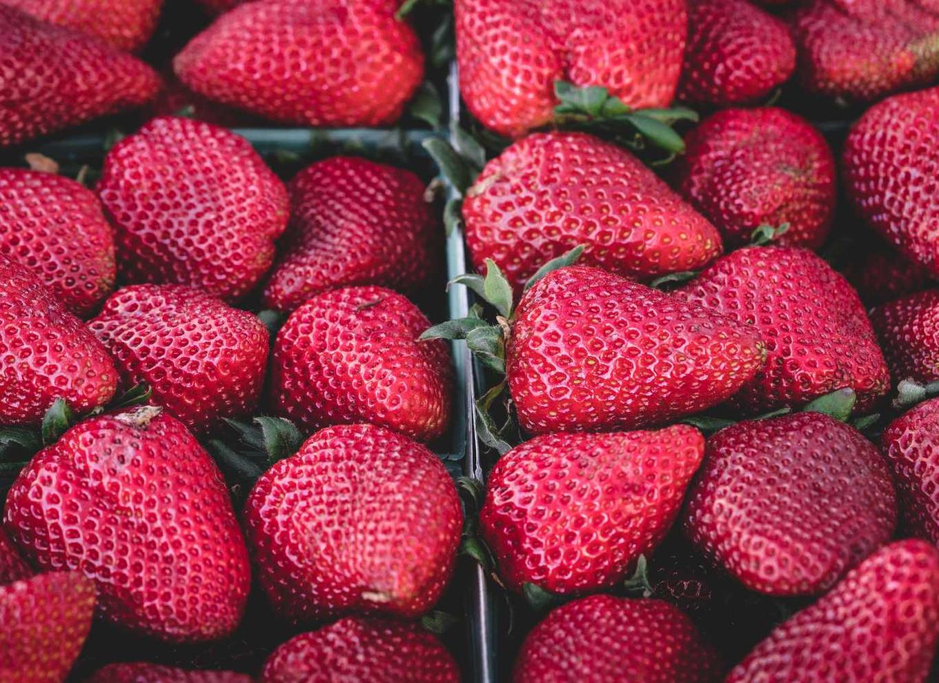 9号详情下载教程app