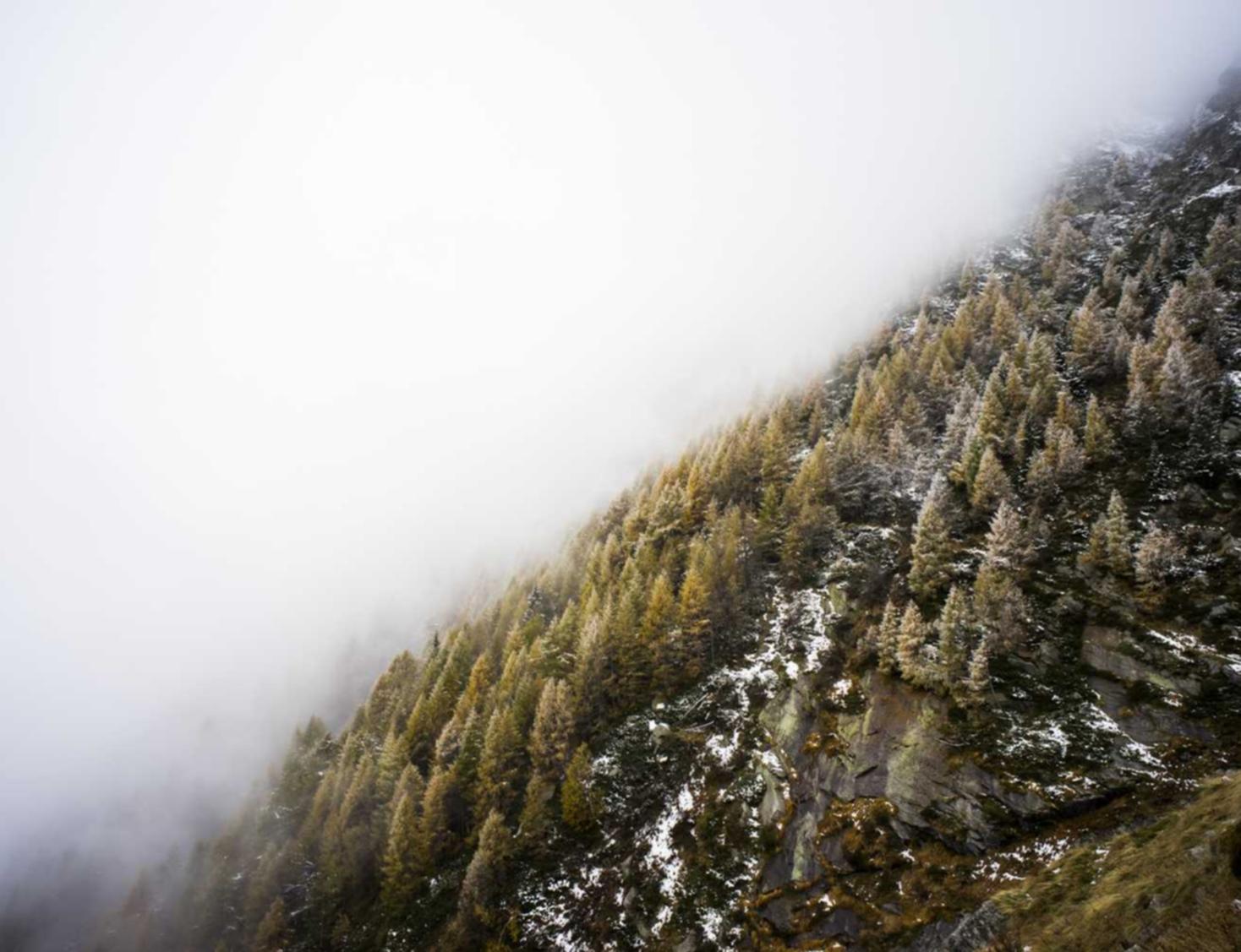 买卖VX号:环球网校官网app详情下载教程