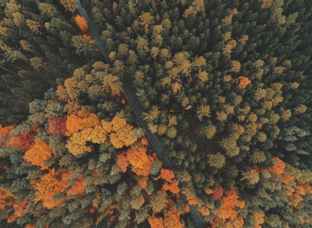 华纳云实名账号：流量卡的协同创新和合作伙伴策略介绍