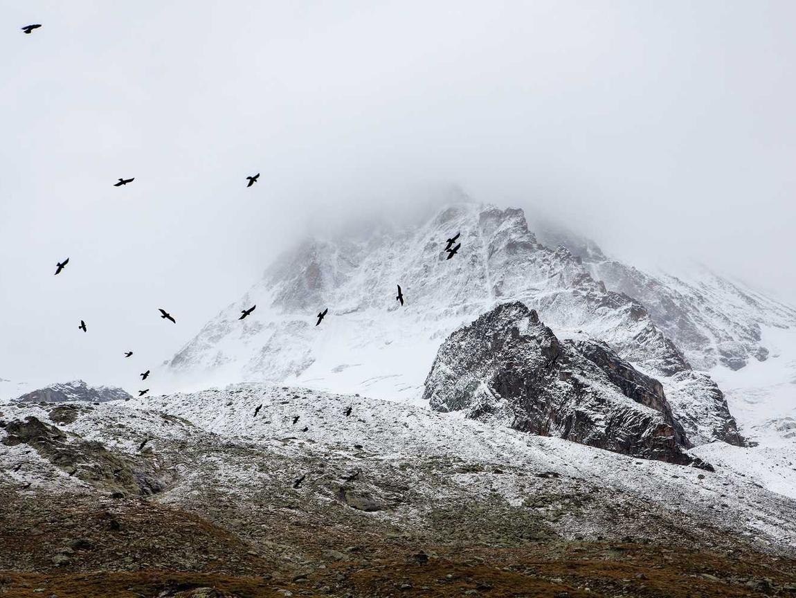 DDOS网页端平台|账号怎么购买流量