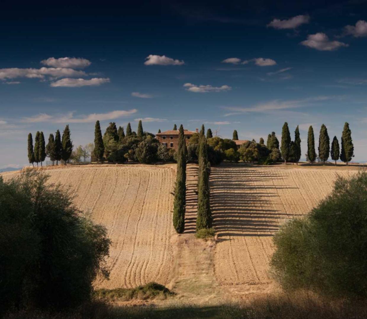 江南百景图:税务代理 注册公司