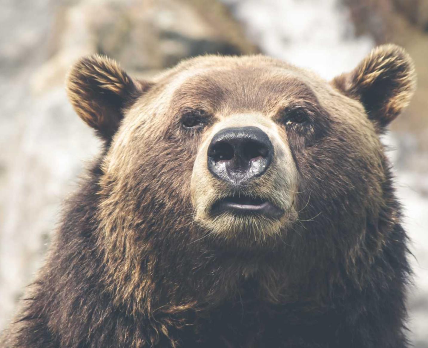 币安实名账号：如何在短信营销中提高客户满意度