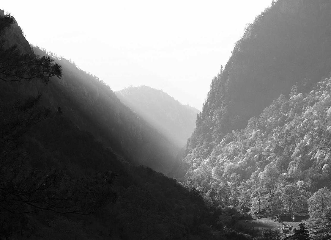 Mond梦都西瓜:汕头代理香港注册公司费用