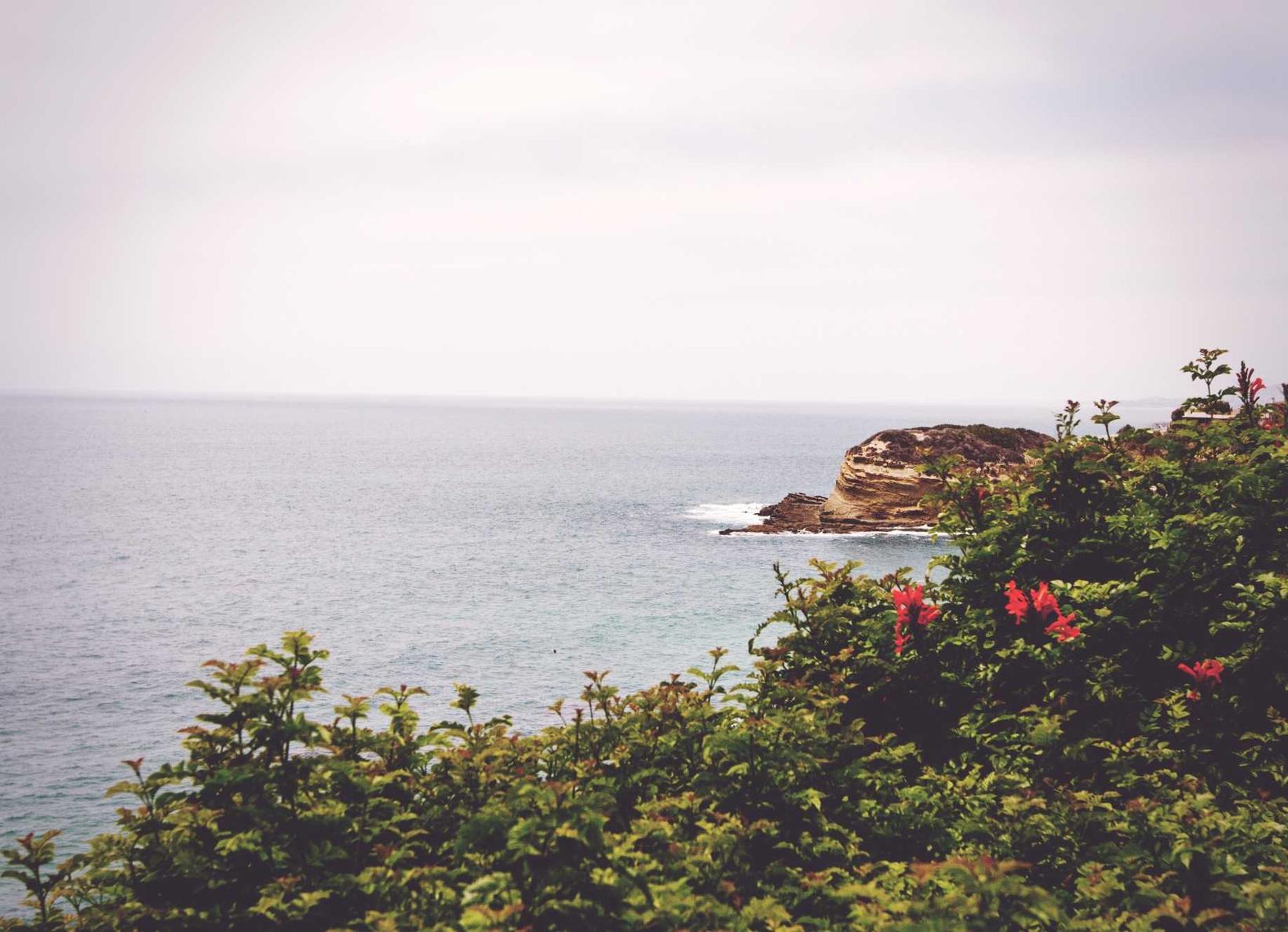 电销电话手机卡：贷款平台怎样代理的