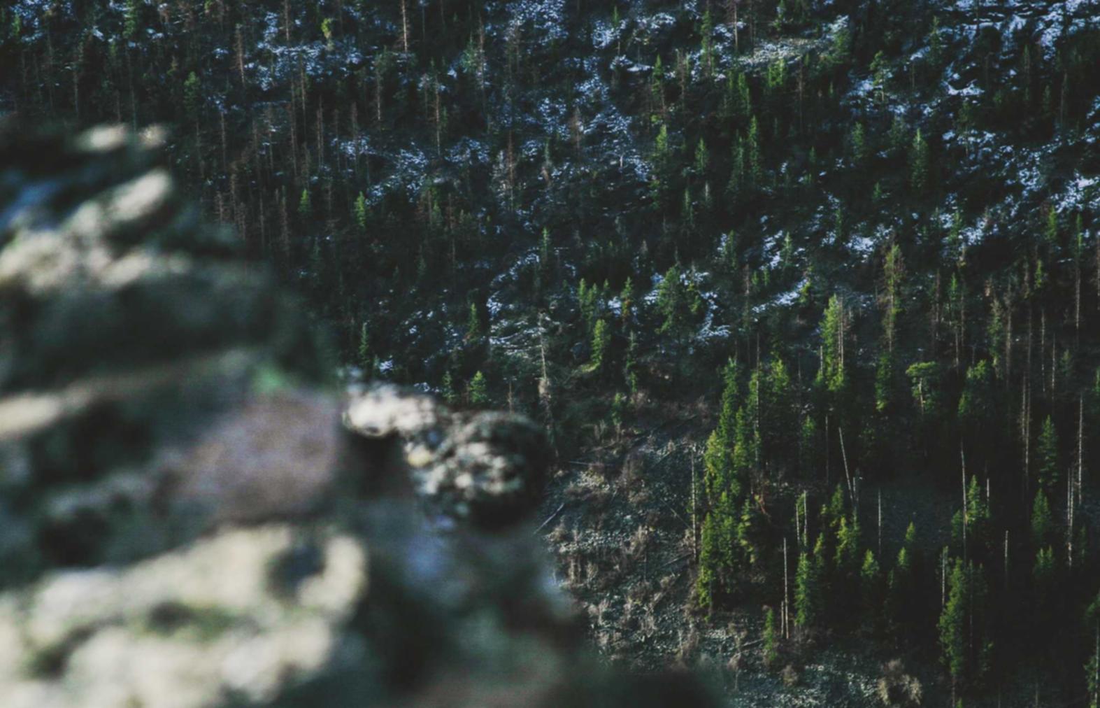 净化:手机怎么注册邮箱微博账号