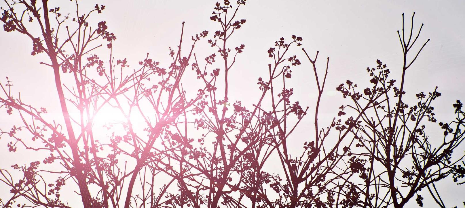 技术支持和SNS的交互作用