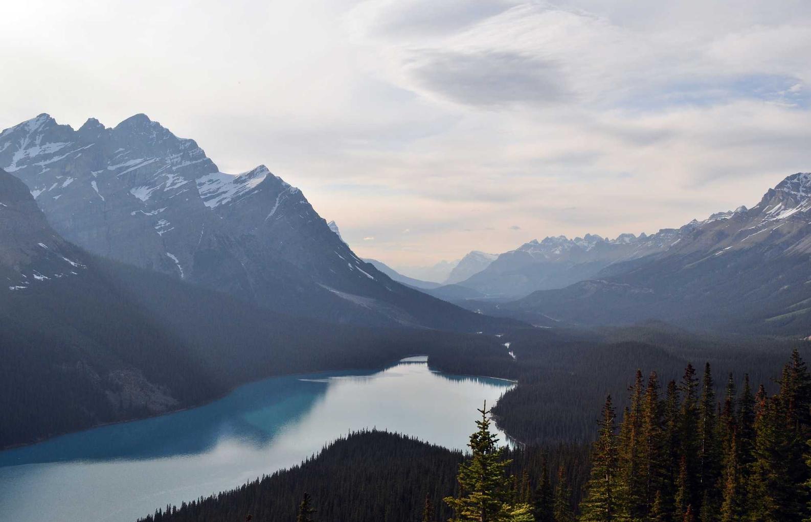 阿里云国际站实名账号：宁夏移动app详情下载教程