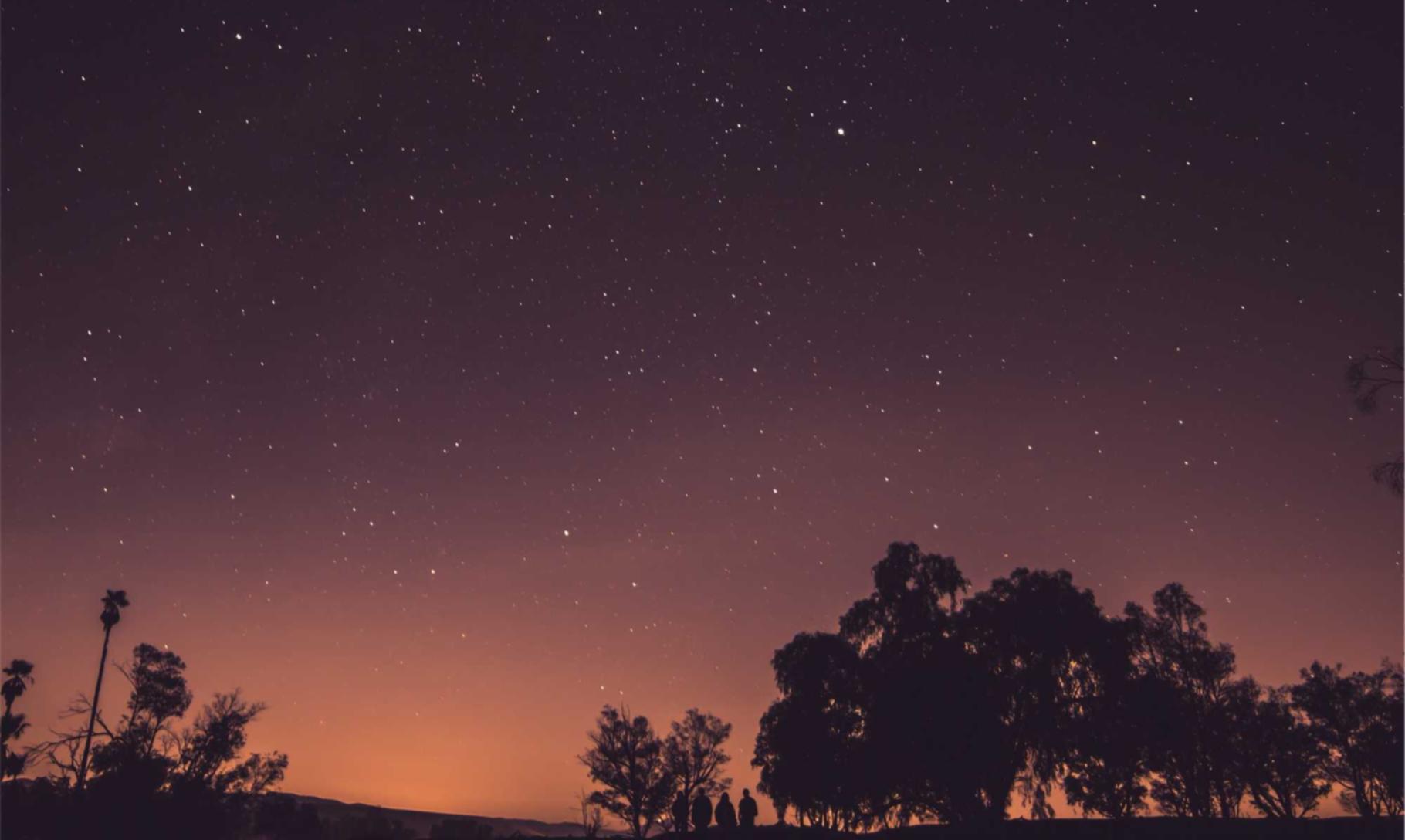 仙侠世界2：详情下载教程寓锡金app