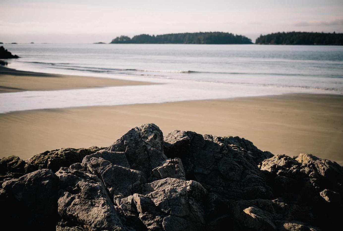 阿里山白大华:水滴直播app详情下载教程