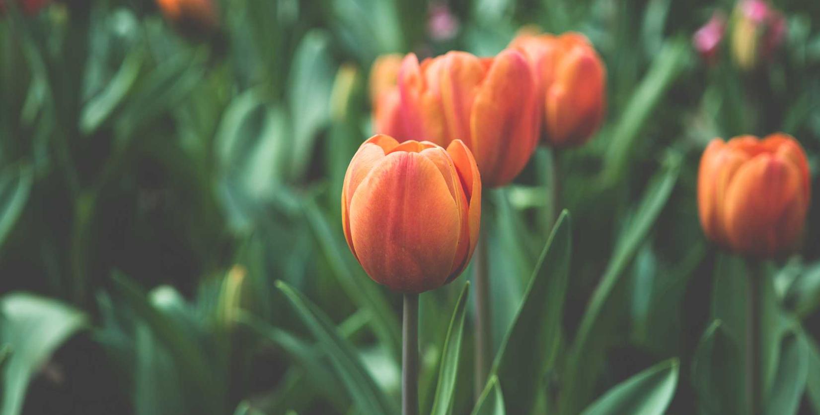 实名支付宝买卖：还原大师怎么注册账号