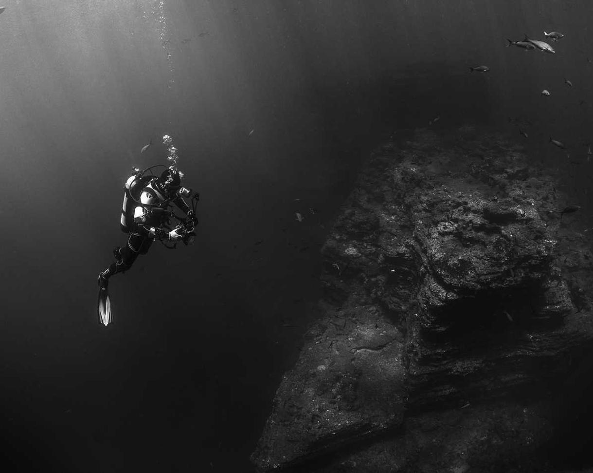 防封电销卡:代理辅助验证平台