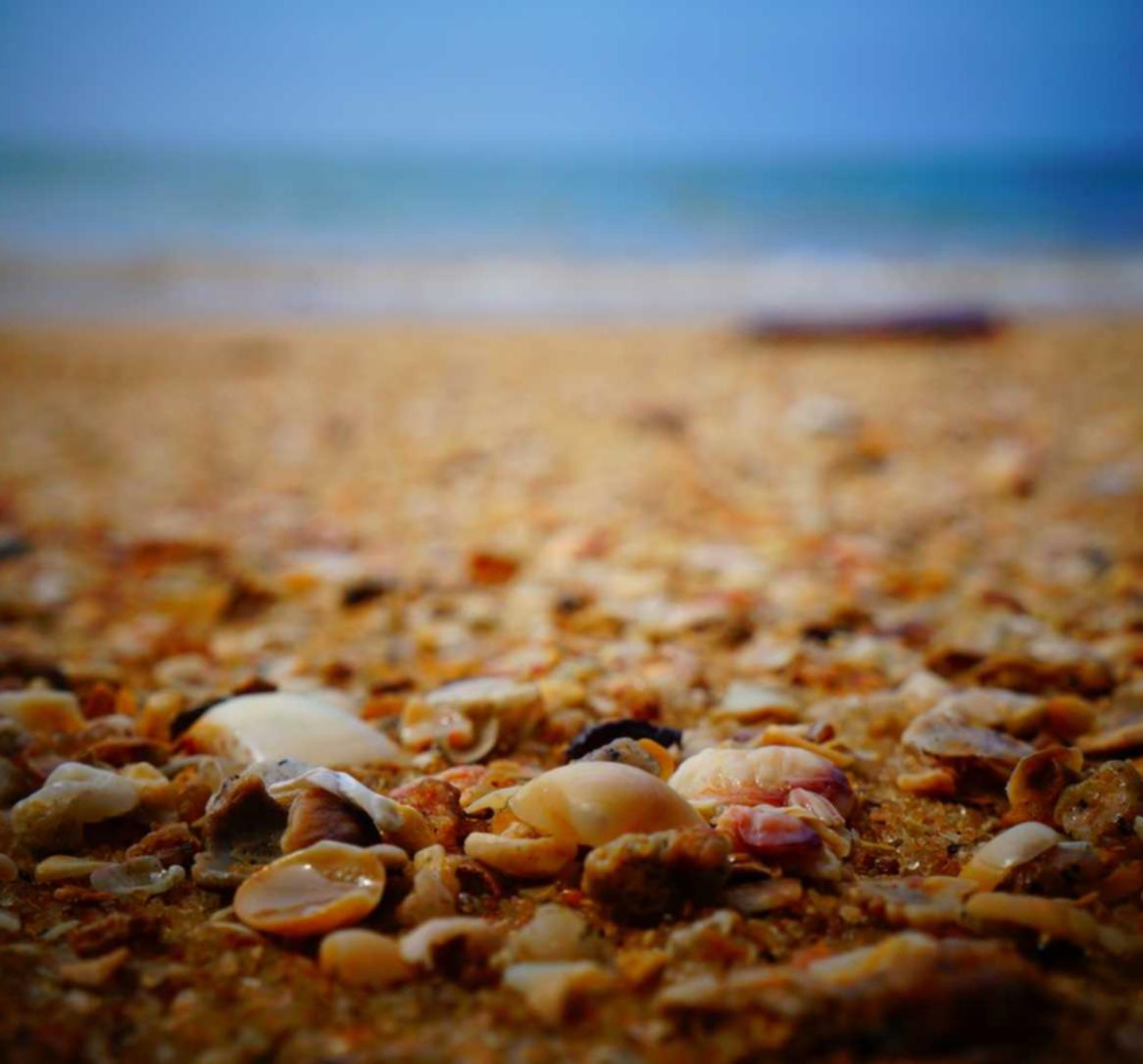 汇聚支付代理平台