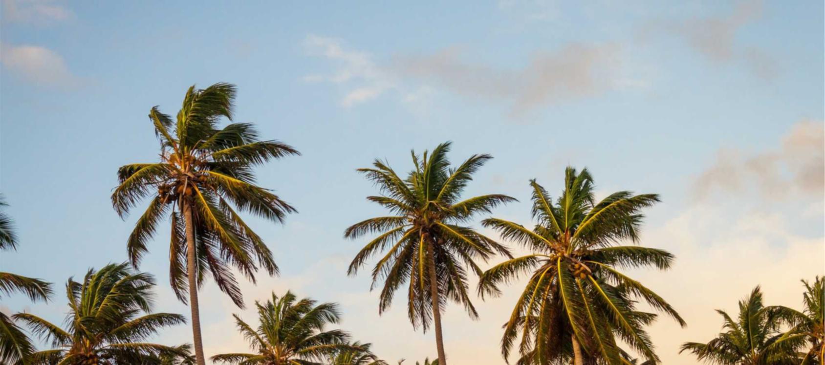 曼切斯特双爆：徐汇云app详情下载教程