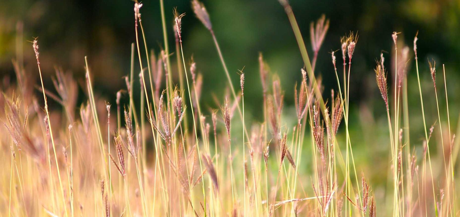宝塔实名账号：ACDC看图软件详情下载教程app