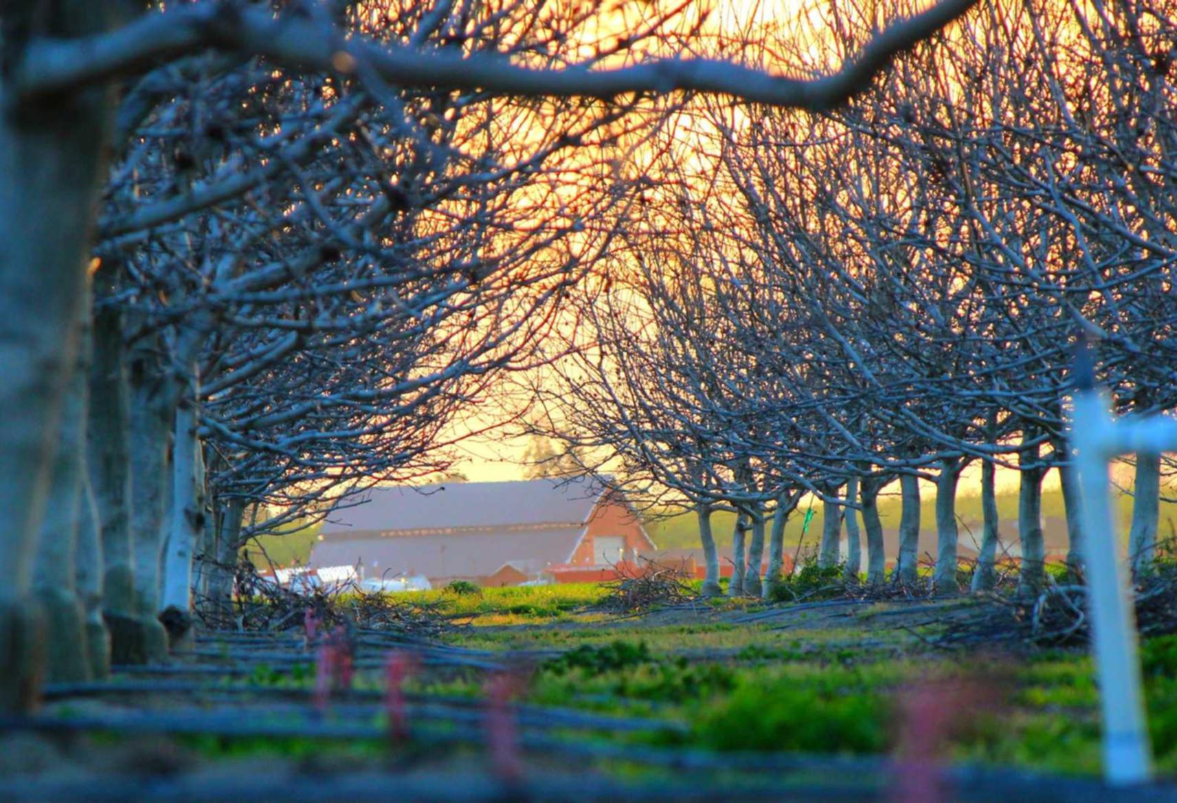 七色光DDOS网页端源码