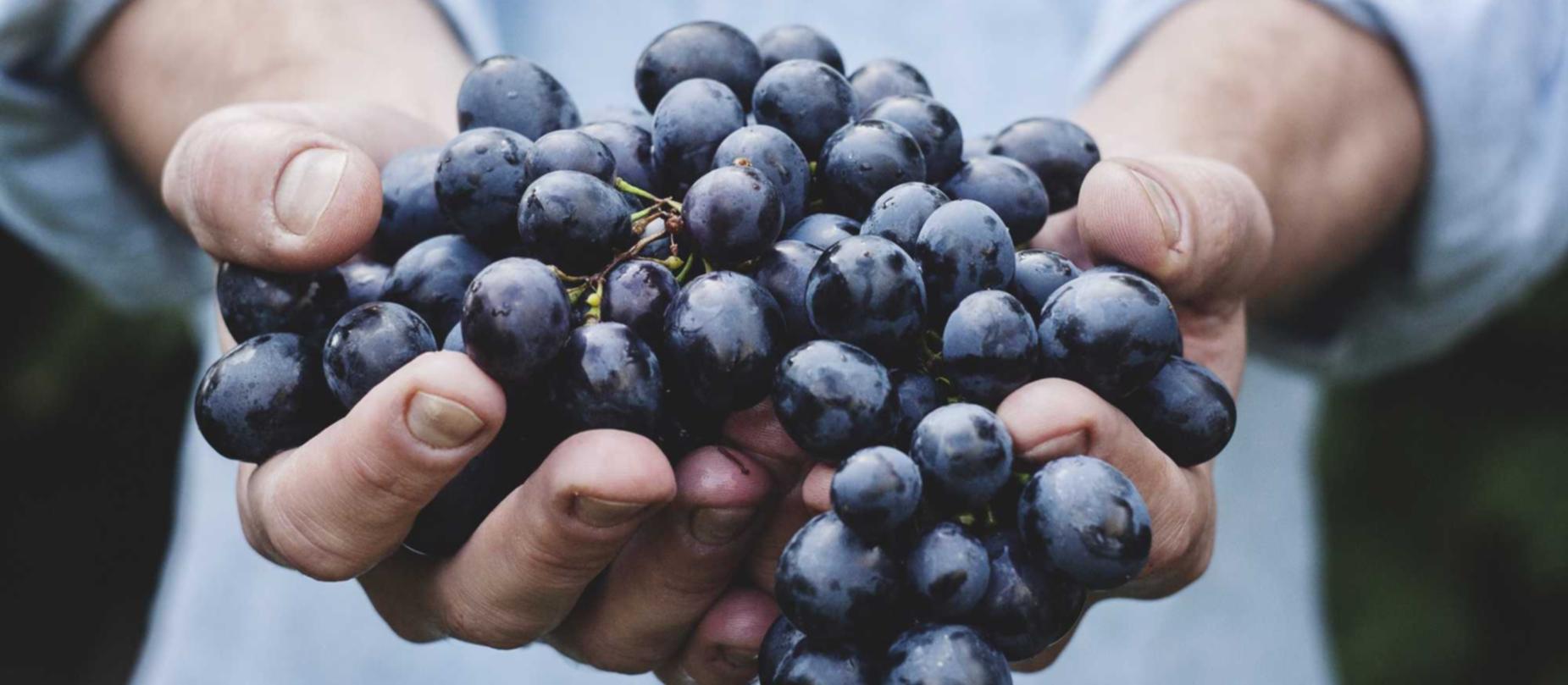 丰信移动实名账号：如何注册品牌名称和代理商