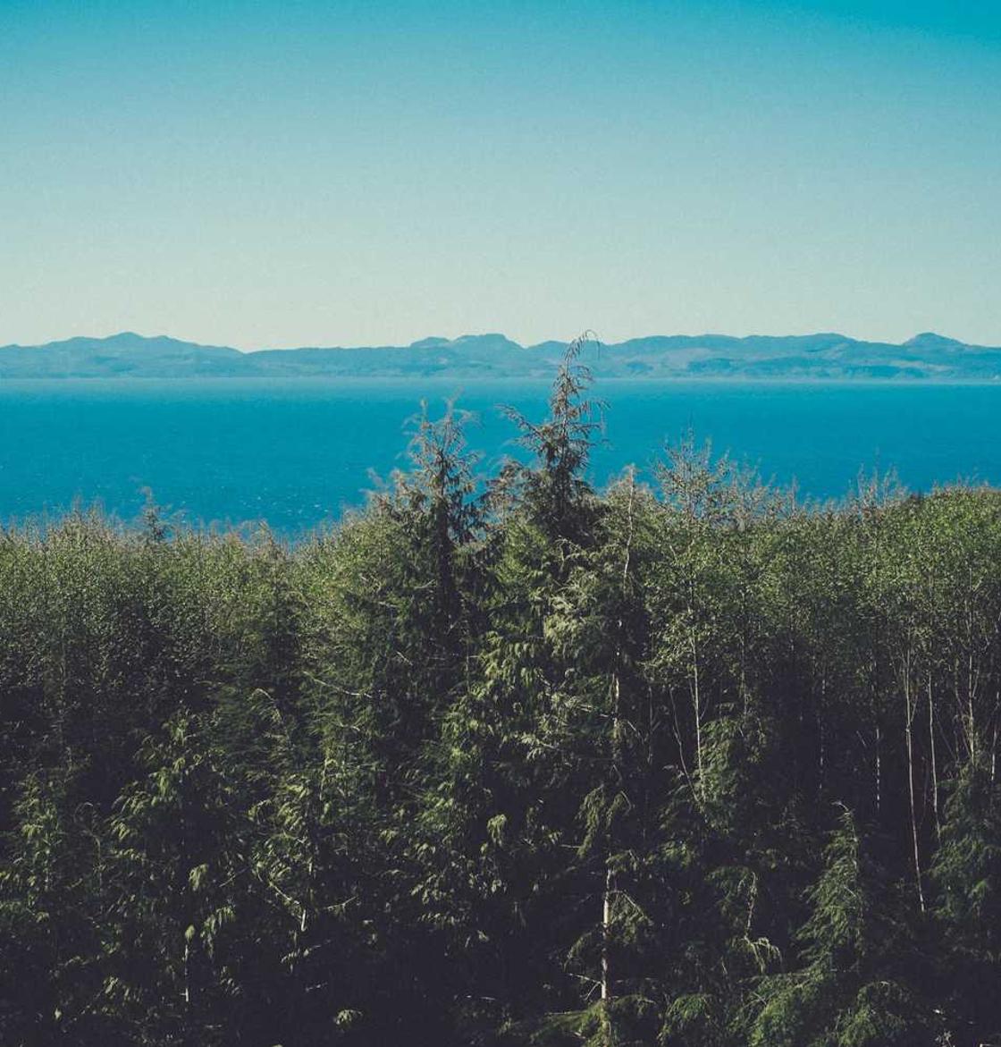 网站压力测试|圣淘沙平台开户