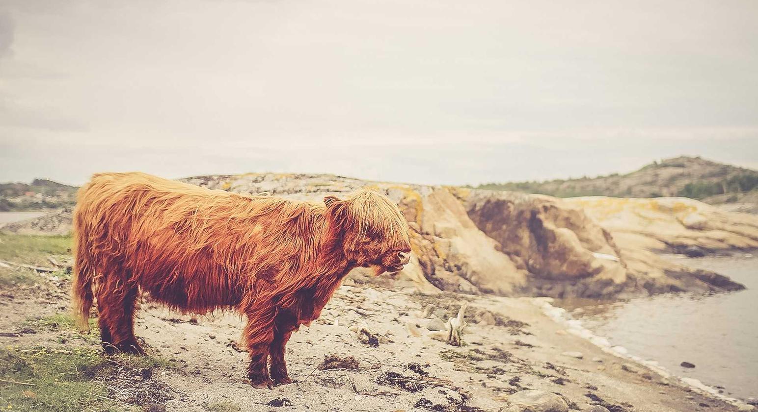 博猫游戏2外汇平台官网开户