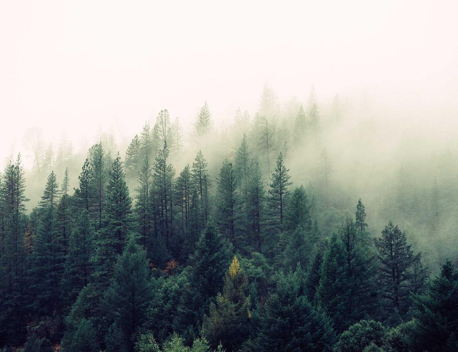 石器时代：觉醒：长丰注册代理记账协议