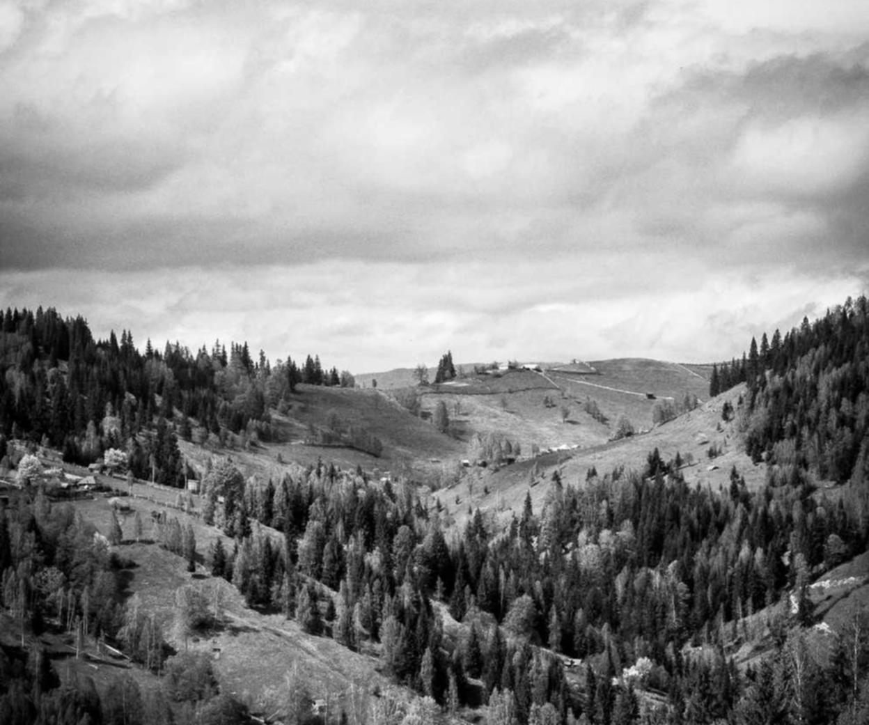 “短信中的情感永不消逝”