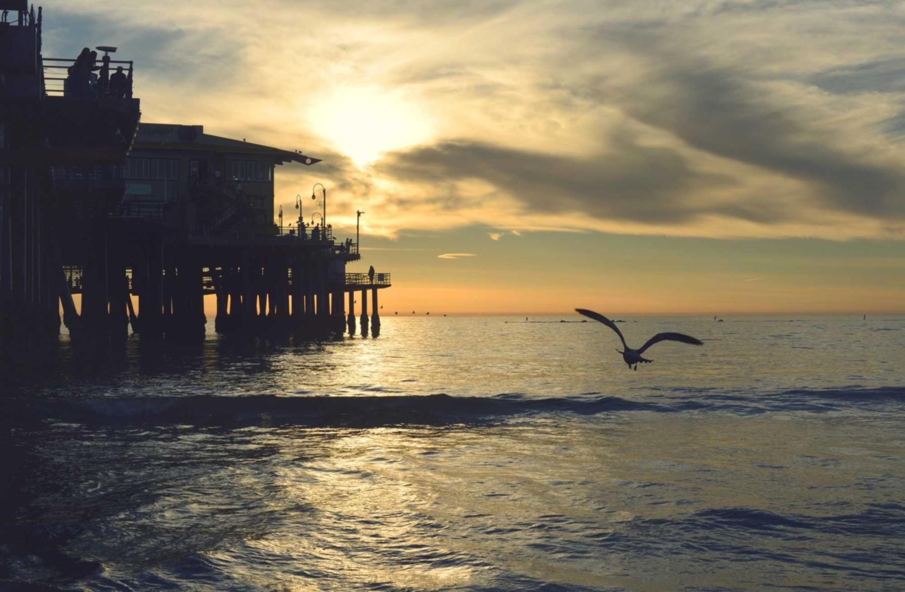 非人学园：app程序详情下载教程地址