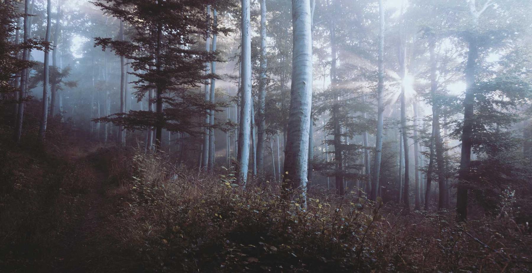 深度ip实名账号：实名制网络对企业信息安全的提升