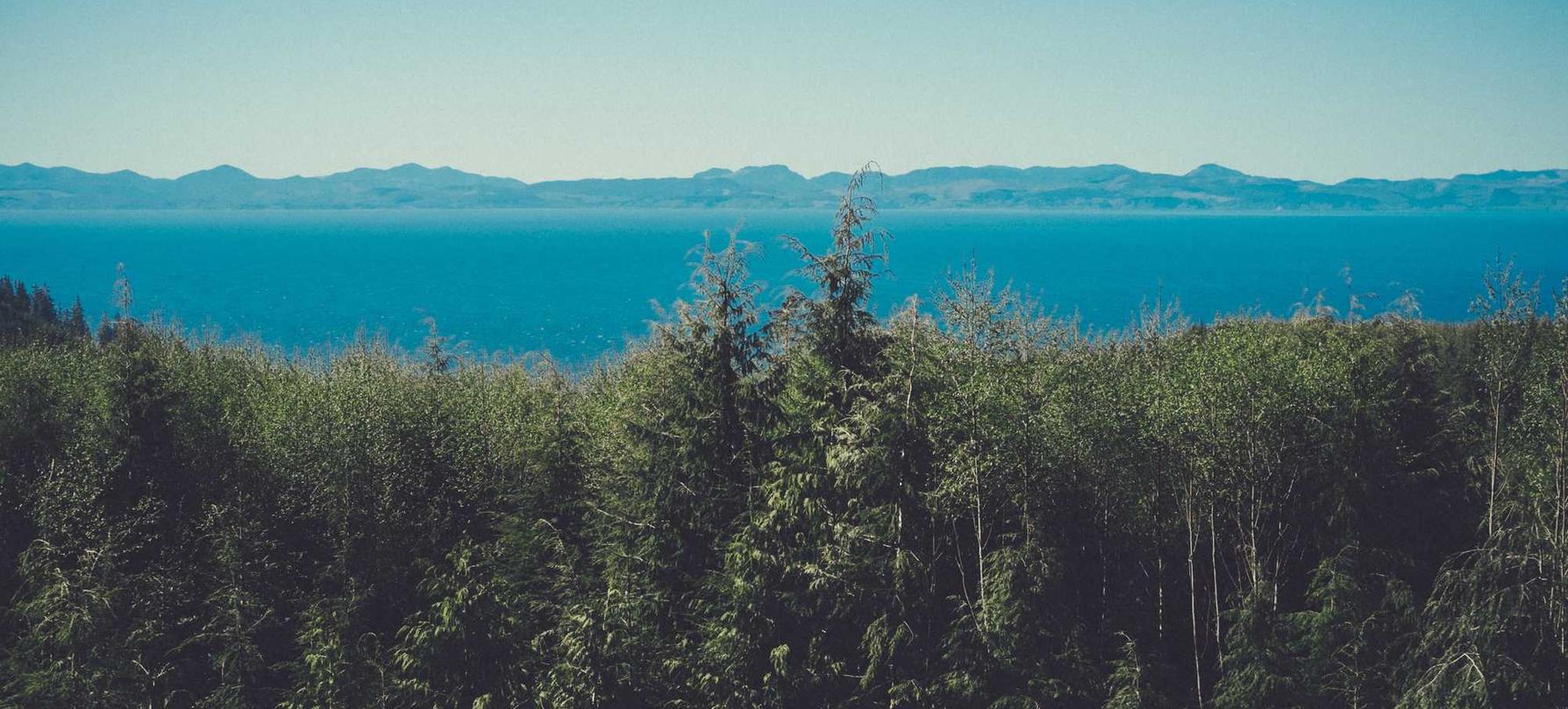 全球住宅ip实名账号：Iphone清除app详情下载教程记录