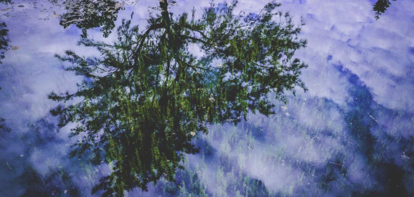 300英雄：大兴注册代理公司