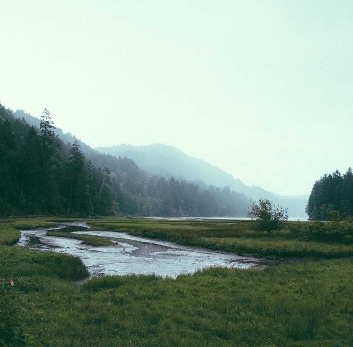 DDOS攻击|秒好用app详情下载教程