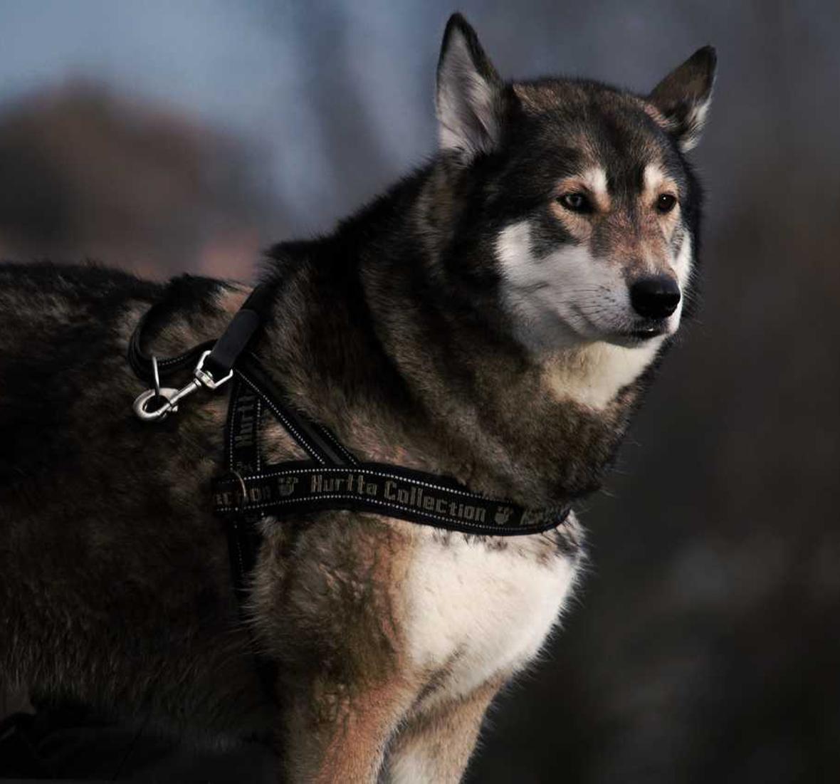 用短信创造与客户更好的体验