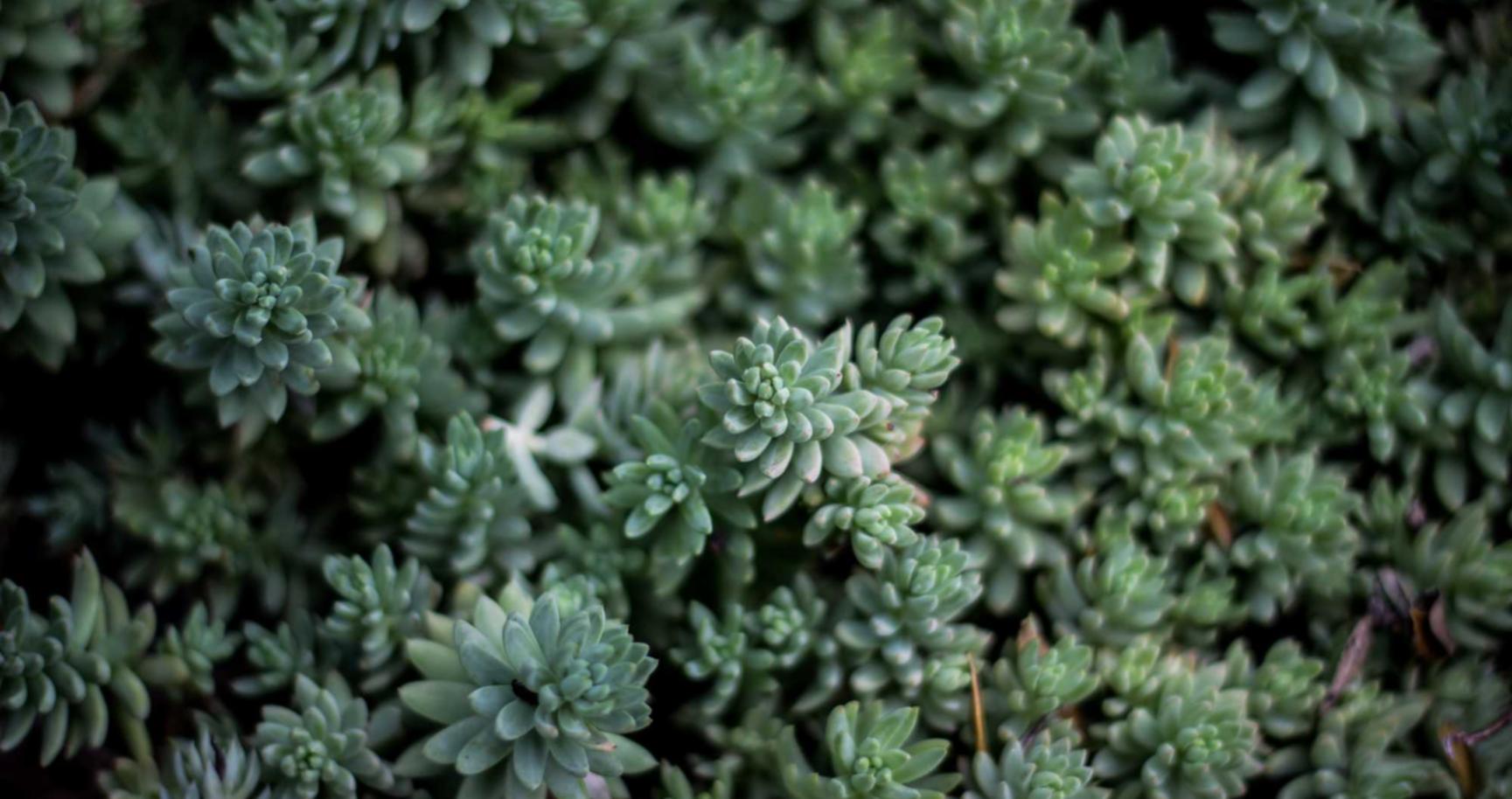 华为云实名账号:老司机视频详情下载教程app详情下载教程