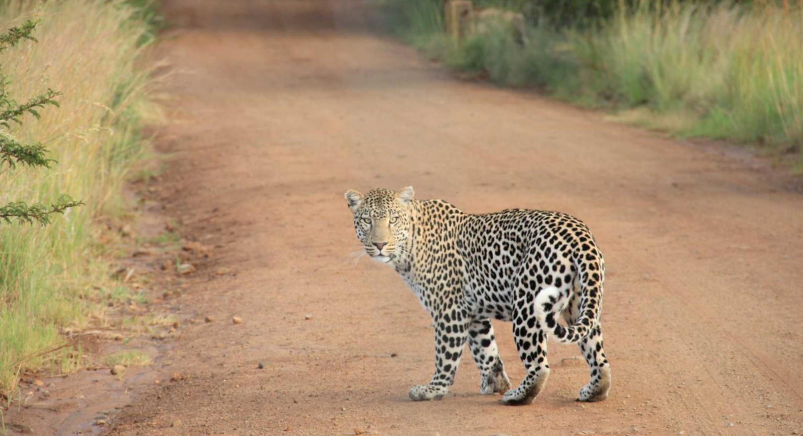 三五互联实名账号:长宁代理注册公司办理价格