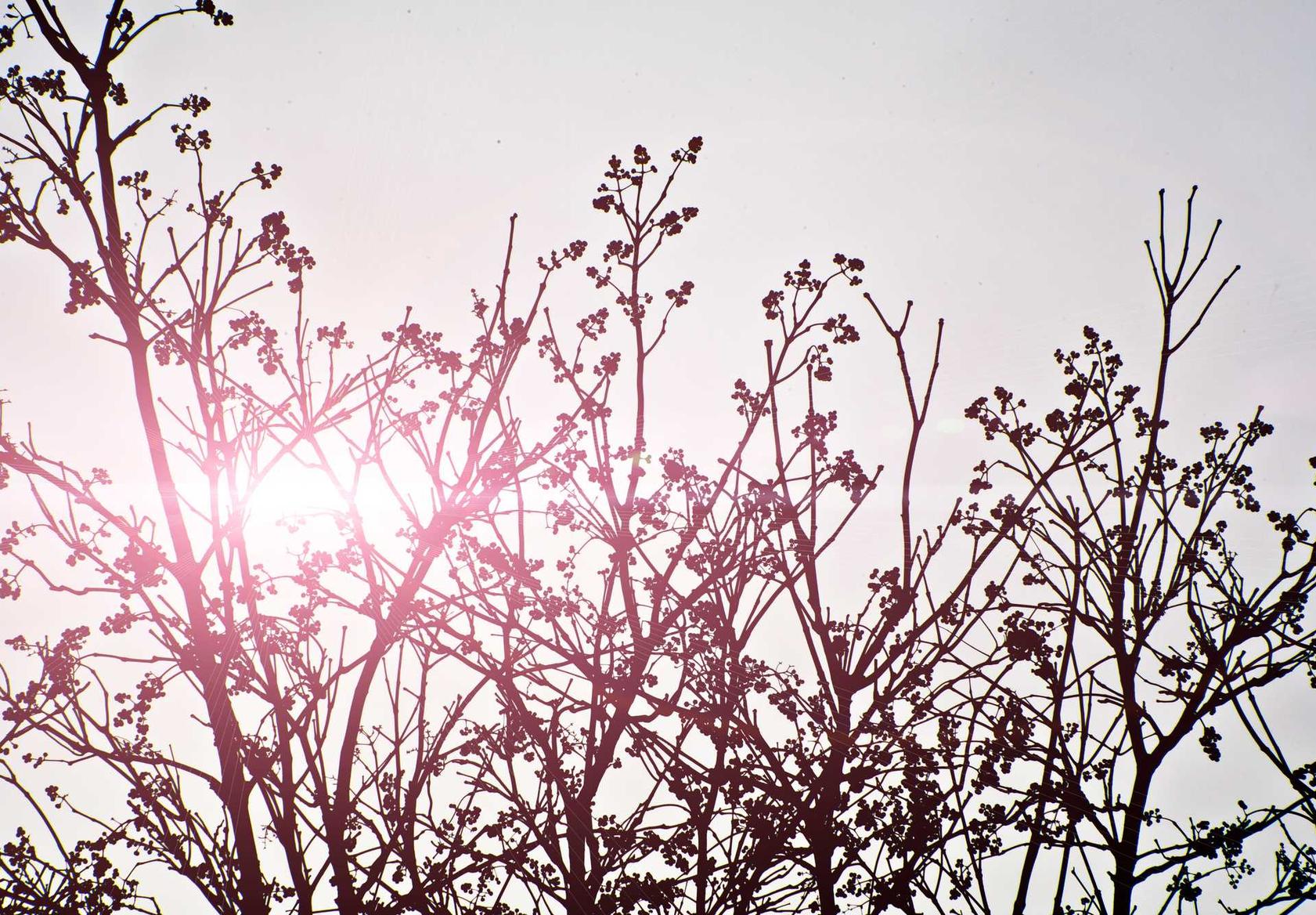 短信营销如何挖掘到更多的精准目标客户 