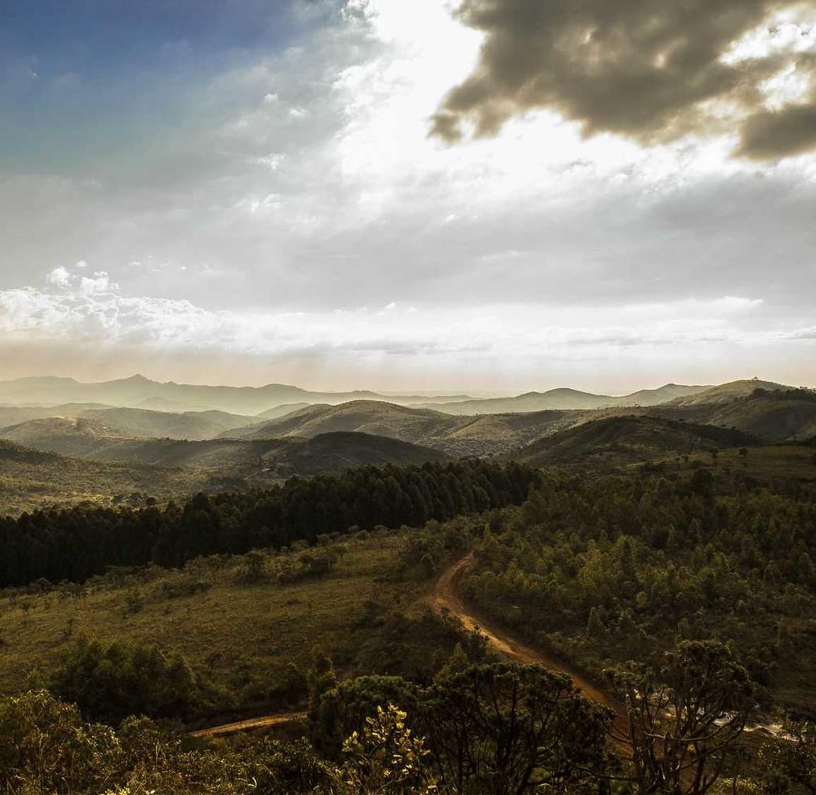 已实名账号：流量卡新技术和新应用的预测与展望