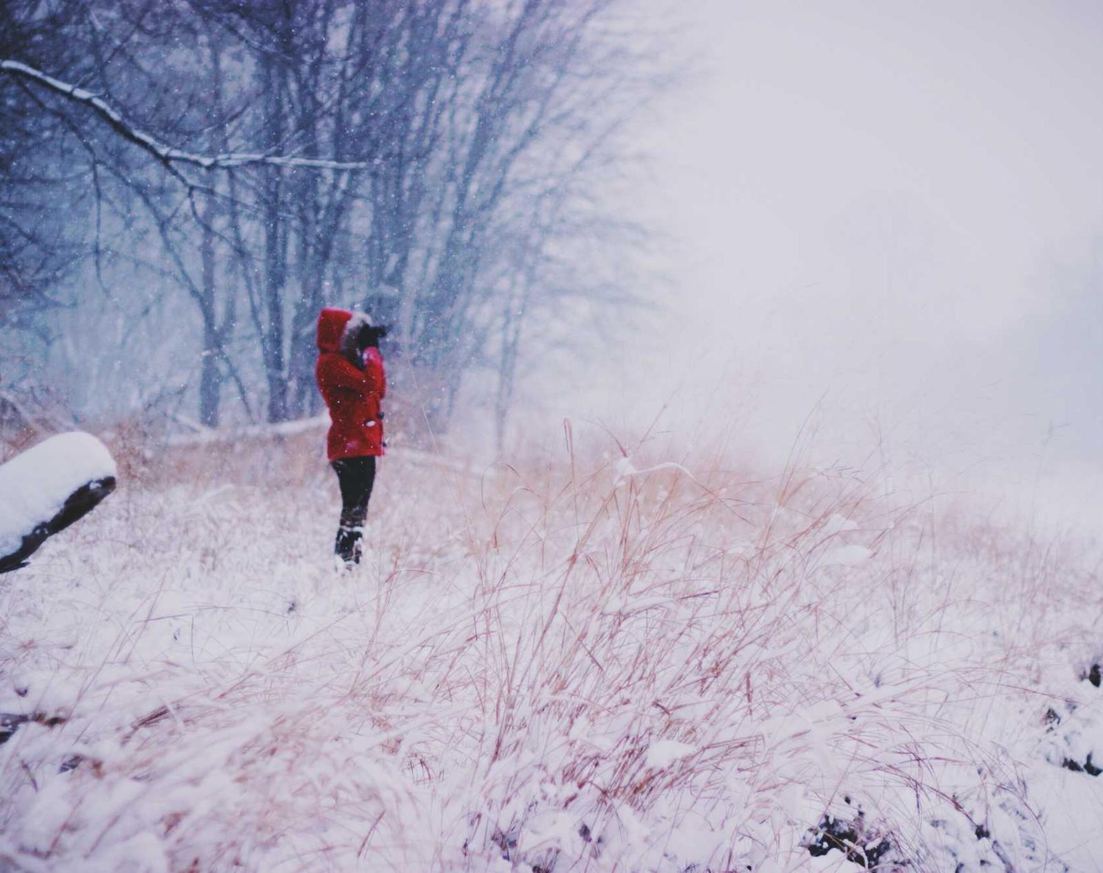 多途云实名账号：东风借款app详情下载教程