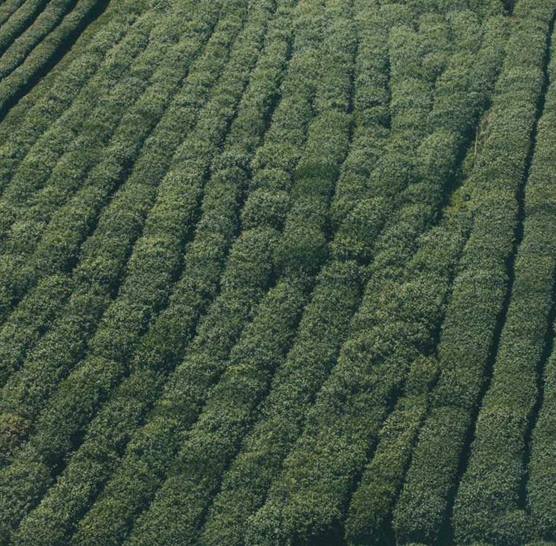 恒行3代理记账市场平台