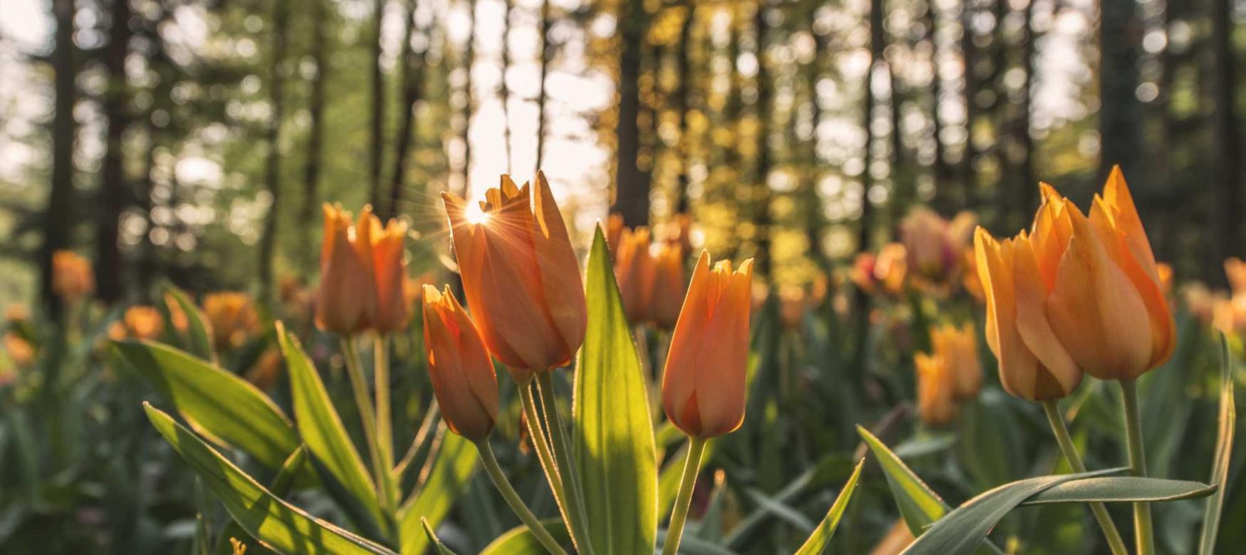 正规得流量卡：cg购买平台