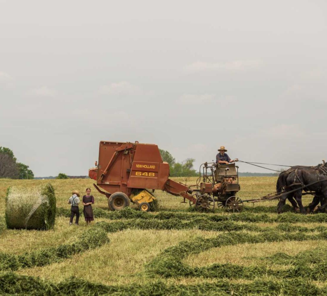 蜗牛移动实名账号：实名制账号是否会影响网民发表言论的自由？