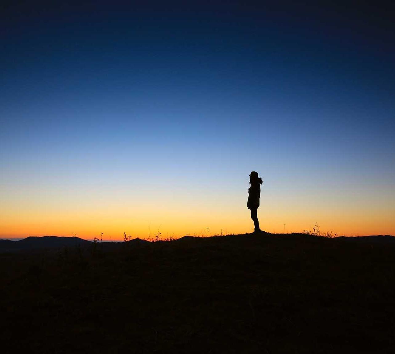 微信批发：网络公司平台代理