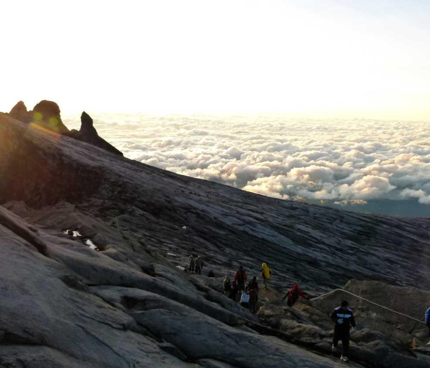 七星柔和7mg：建设银行详情下载教程app详情下载教程