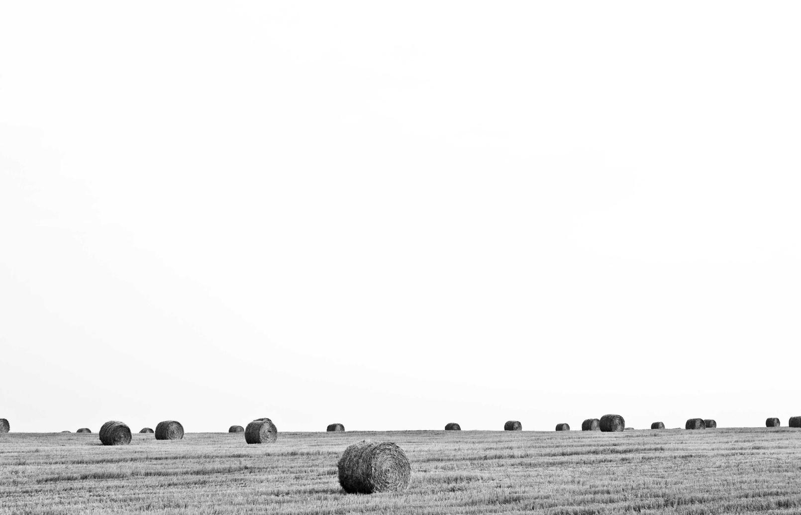 DDOS网页端源码|幻境GM平台代理