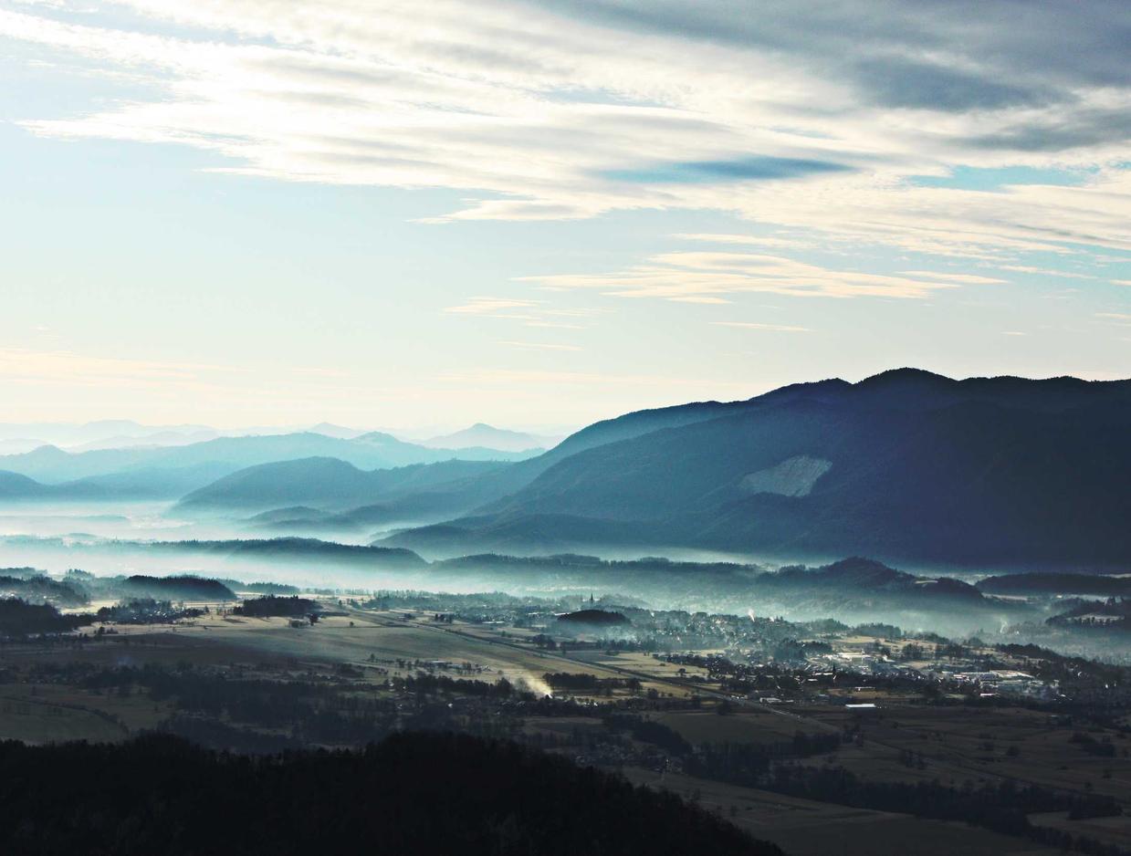 在线双语服务团队：网校代理平台
