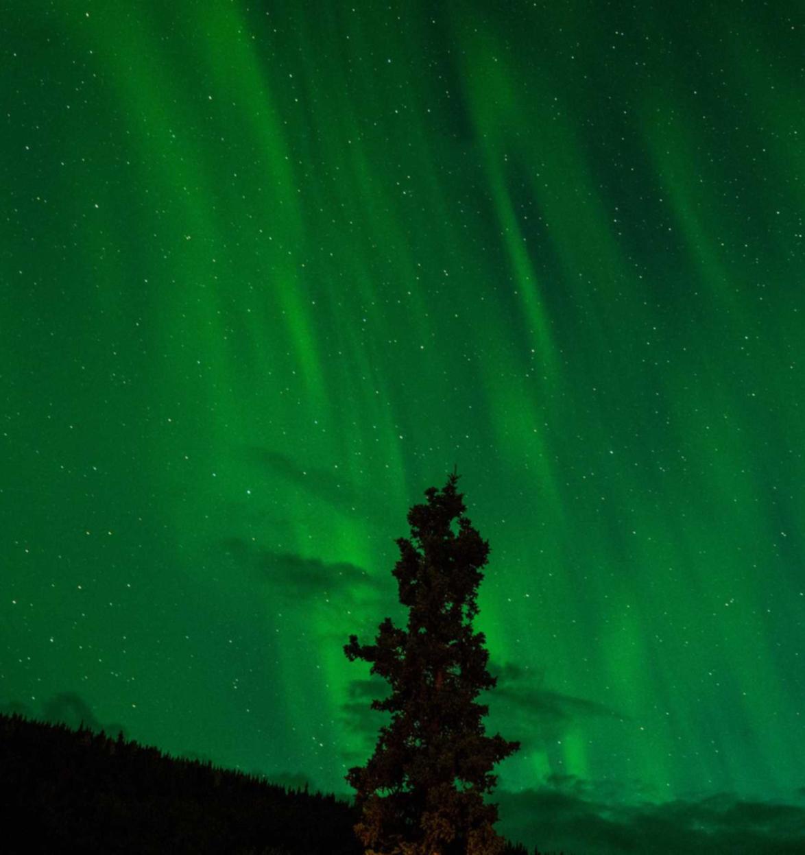 米面粮油购买平台