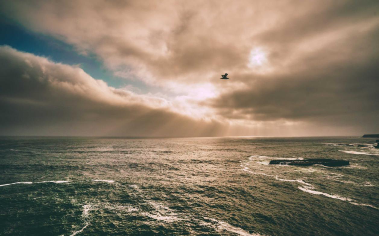 微信小号买卖:五楼直播app详情下载教程安卓